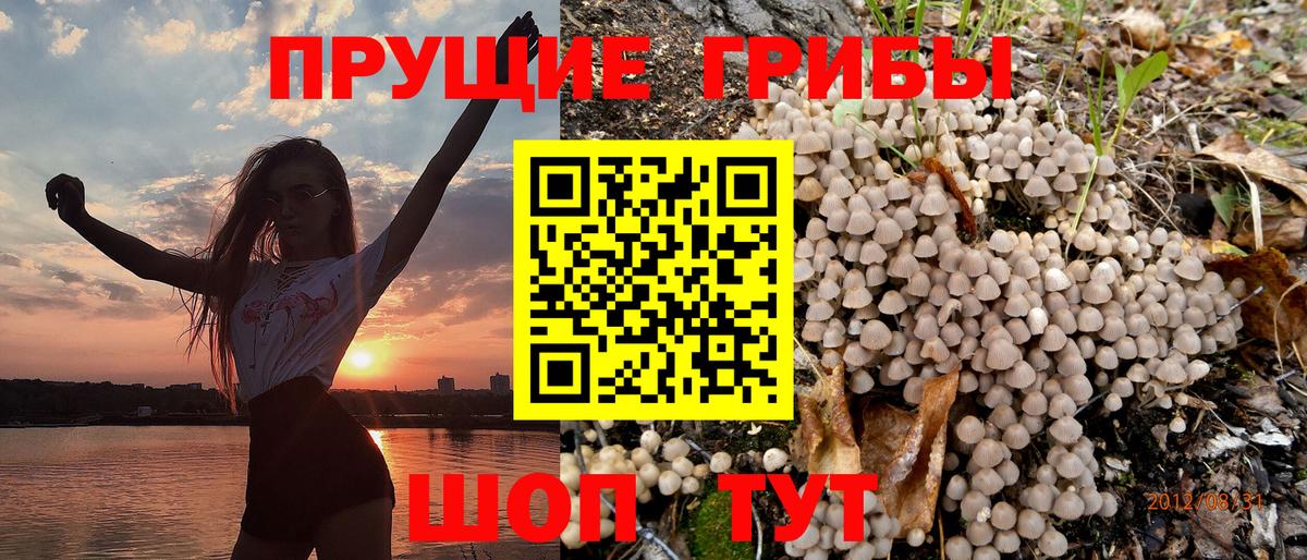 даркнет сайт  Галлюциногенные грибы Magic Shrooms  Вход с VPN  Краснокаменск 